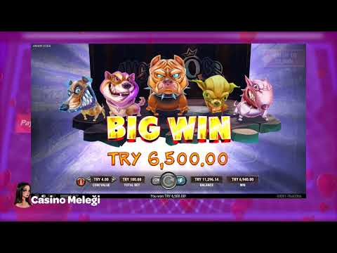 Angry Dogs Casino Slot – 🐶🐶🐶 Köpeciklerle Big Win! 💲💲
