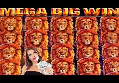 🦁**MEGA BIG WIN!**🦁SO MANY LIONS! KING OF AFRICA SLOT MACHINE BONUS!