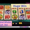 Huge Win!! Original Whales Of Cash Slot by Aristocrat