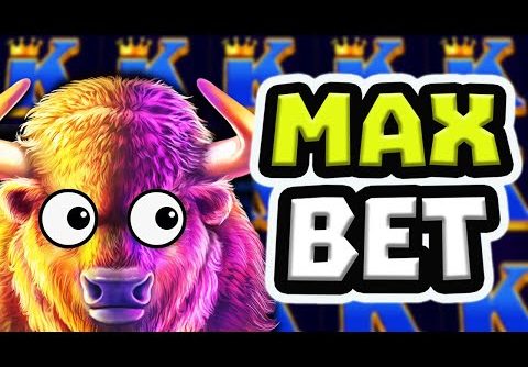 BUFFALO KING MEGAWAYS 🔥 SLOT BIG MAX BET BONUS HUNT OPENING‼️ *** BIG WINS ***