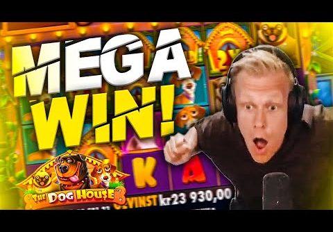 MEGA BIG WIN on The Dog House!