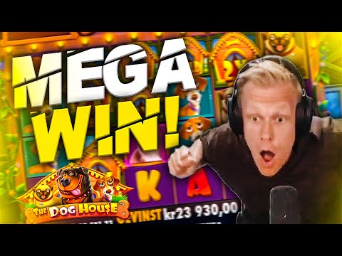 MEGA BIG WIN on The Dog House!