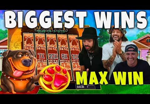 Record Wins from 1000X. New Biggest Wins of the week. Max Win on Slots