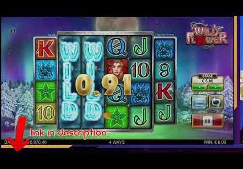 Mega win casino cash out Layne Palacios Slot play youtube