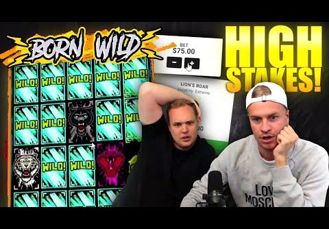 HIGH STAKES BUY PAYS OFF! Mega Win on Born Wild