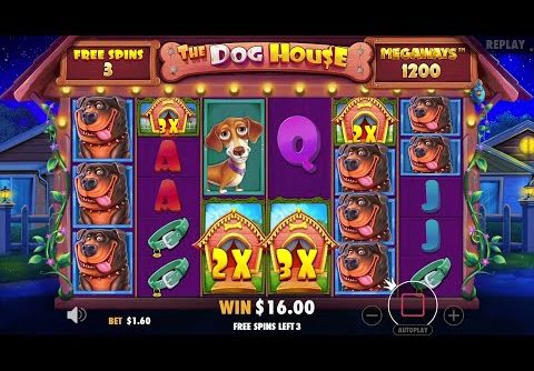 MASSIVE WIN ON DOG HOUSE MEGAWAYS (4000X)