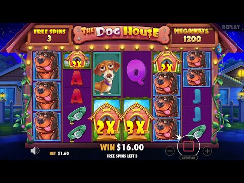 MASSIVE WIN ON DOG HOUSE MEGAWAYS (4000X)