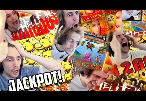 XQC Gambling: Biggest Jackpot Wins Compilation from Book of Shadows, Girlfriends, Dog House & Dragon