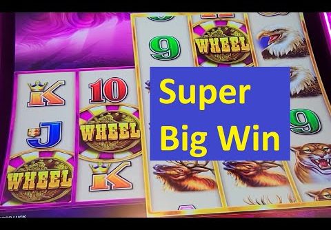 Wild Wild Buffalo Slot Super Big Win!! Aristocrat