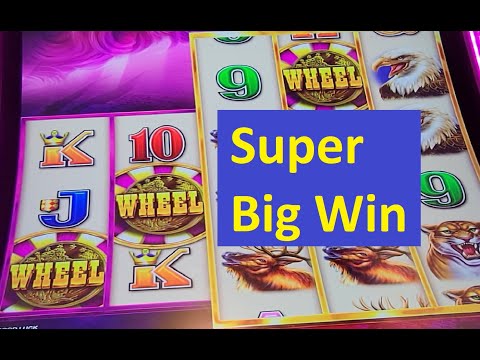 Wild Wild Buffalo Slot Super Big Win!! Aristocrat