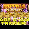 RARE! Starting with a 5-Coin Trigger on Buffalo Gold Slot!