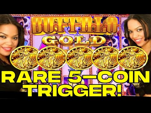 RARE! Starting with a 5-Coin Trigger on Buffalo Gold Slot!