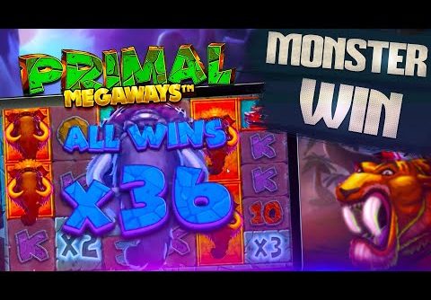 FRUITY SLOTS RECORD PRIMAL MEGAWAYS WIN!