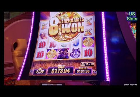 BUFFALO GRAND🌟BUFFALO GOLD BONUS TO BONUS BIG WIN 👍👍👍