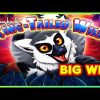 Ring-Tailed Wilds Slot – BIG WIN FEATURE, LOVED IT!