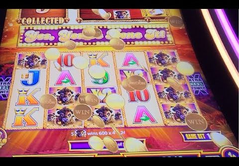 Buffalo Gold Tall Fortunes Slot!! Super Big Win