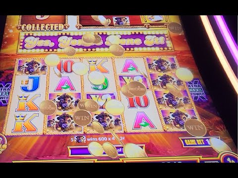 Buffalo Gold Tall Fortunes Slot!! Super Big Win