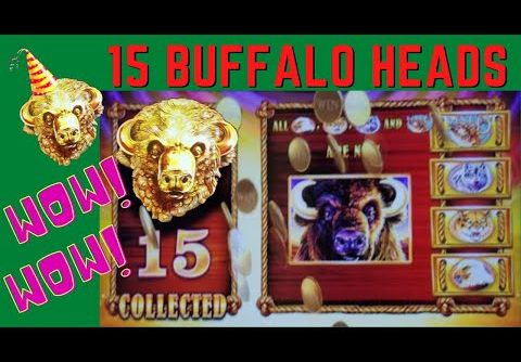 HUGE WIN with15 BUFFALO HEADS on BUFFALO GOLD SLOT MACHINE POKIE – NORWEGIAN JOY CRUISE SHIP