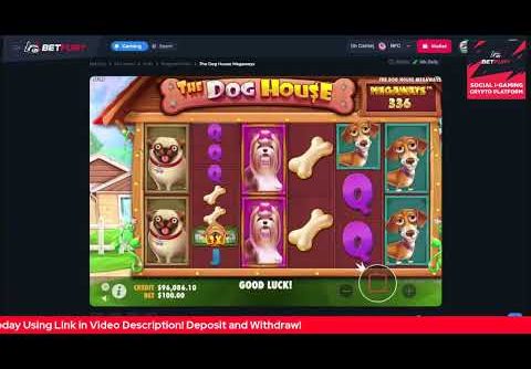 Betfury The Dog House Megaways Slots Game! Play To Win!