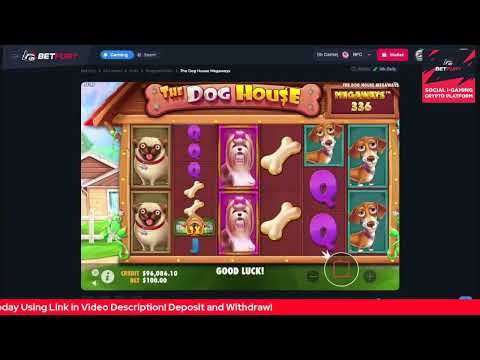 Betfury The Dog House Megaways Slots Game! Play To Win!