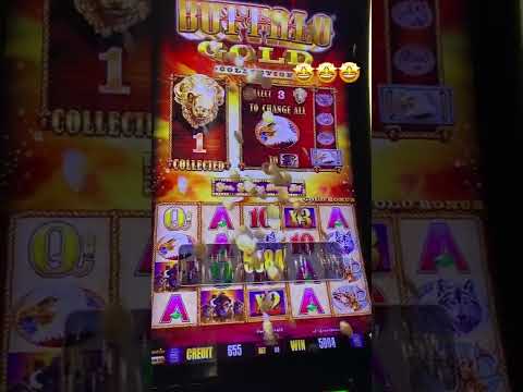 Buffalo 🐃 slot big win