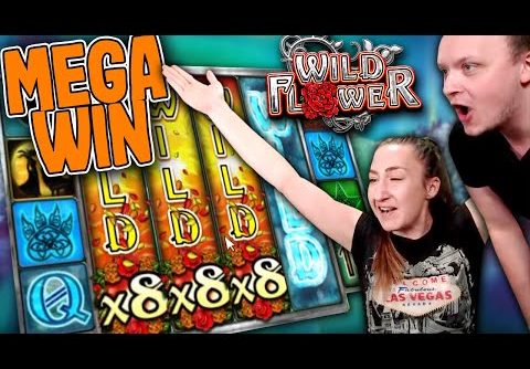 MEGA BIG WIN on Wild Flower Big Time Gaming Slot!