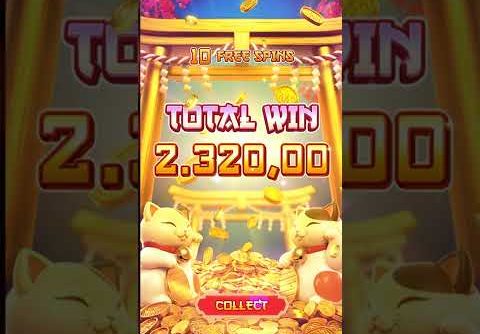 💰PG SLOT Lucky Neko SUPER MEGA WIN FREE SPIN💰