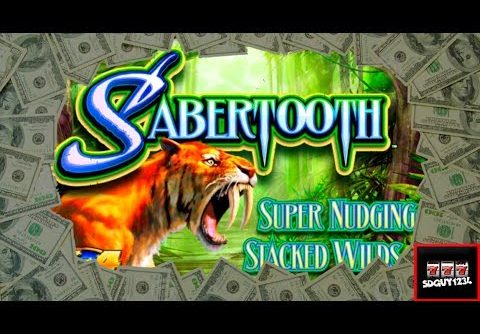 Sabertooth Slot Machine Bonus – Mega Big Win!!!