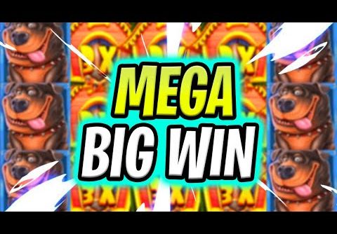 OMG FINALLY 😱 DOG HOUSE MEGAWAYS 🐶 SLOT PAID A SUPER MEGA BIG WIN‼️ *** MASSIVE WIN ***