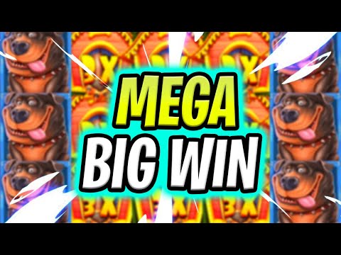 OMG FINALLY 😱 DOG HOUSE MEGAWAYS 🐶 SLOT PAID A SUPER MEGA BIG WIN‼️ *** MASSIVE WIN ***