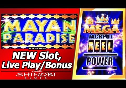 Mayan Paradise Slot – Live Play, Features and Free Spins in New Mega Jackpot Reel Power game