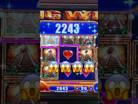 Big win Jungle wild 3 slot win