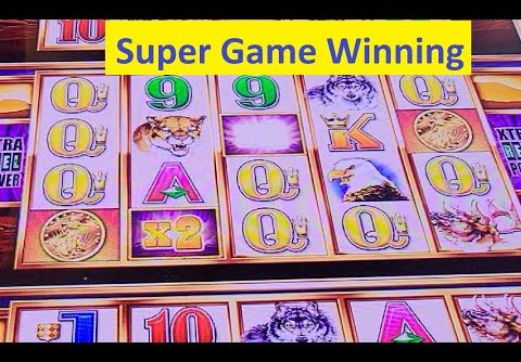 Buffalo Wonder 4 Tower Slot Super Big Win