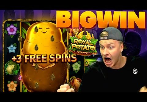 BIG WIN on Royal Potato Slot! (Bonus Buy)