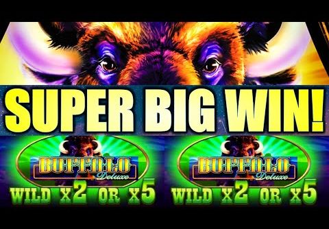 SUPER BIG WIN!! BUFFALOOOO!!! BUFFALO DELUXE Slot Machine (Aristocrat Gaming)