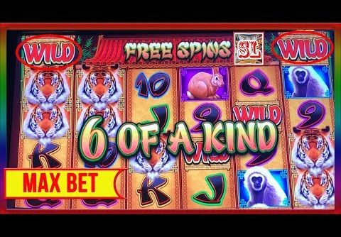 ** WIFE’s SUPER BIG WIN ON GREAT TIGER ** SLOT LOVER **