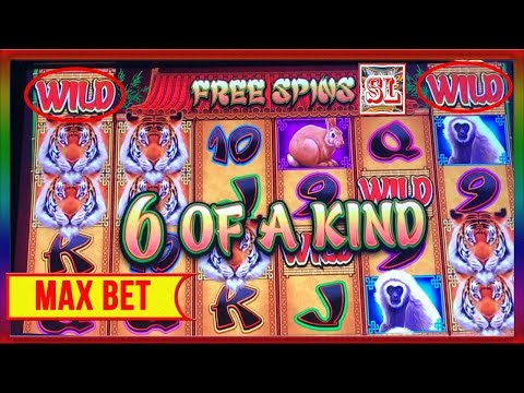 ** WIFE’s SUPER BIG WIN ON GREAT TIGER ** SLOT LOVER **