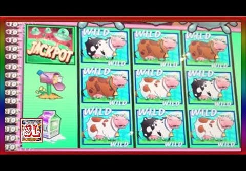 ** SUPER BIG WIN ** MOOLAH CLASSIC ** SLOT LOVER **