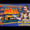 Fish Party Slot Mega Win