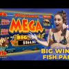 Fish Party Slot Mega Win