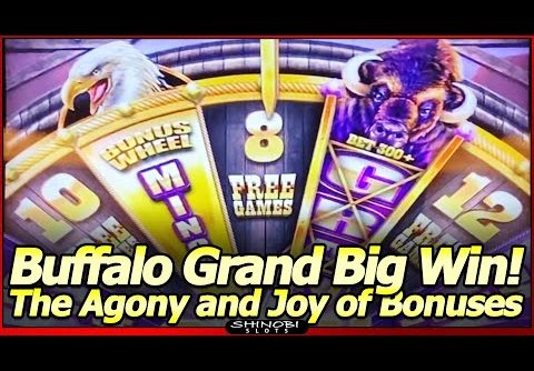 Buffalo Grand Slot Machine – BIG WIN Bonus!  The Agony and Joy of Free Spins Bonuses!