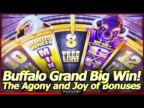 Buffalo Grand Slot Machine – BIG WIN Bonus!  The Agony and Joy of Free Spins Bonuses!