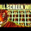 FULL SCREEN WILDS!! RARE TOP SCREEN HIT! 🐯 GOLDEN JUNGLE GRAND Slot Machine BIG WIN! (IGT)