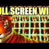 FULL SCREEN WILDS!! RARE TOP SCREEN HIT! 🐯 GOLDEN JUNGLE GRAND Slot Machine BIG WIN! (IGT)