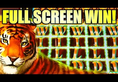 FULL SCREEN WILDS!! RARE TOP SCREEN HIT! 🐯 GOLDEN JUNGLE GRAND Slot Machine BIG WIN! (IGT)