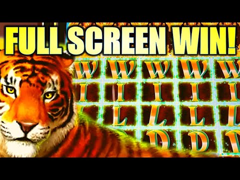 FULL SCREEN WILDS!! RARE TOP SCREEN HIT! 🐯 GOLDEN JUNGLE GRAND Slot Machine BIG WIN! (IGT)