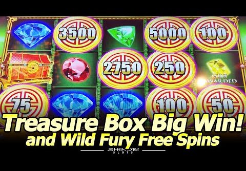 Wild Fury Slot Free Spins and Treasure Box Hold and Spin Feature, Big Win Bonus!