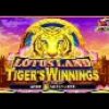 BIGGEST YOUTUBE WIN ON SELEXION LOTUS LAND TIGERS WINNINGS A REAL SLOT MACHINE JACKPOT