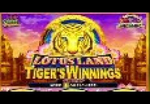 BIGGEST YOUTUBE WIN ON SELEXION LOTUS LAND TIGERS WINNINGS A REAL SLOT MACHINE JACKPOT