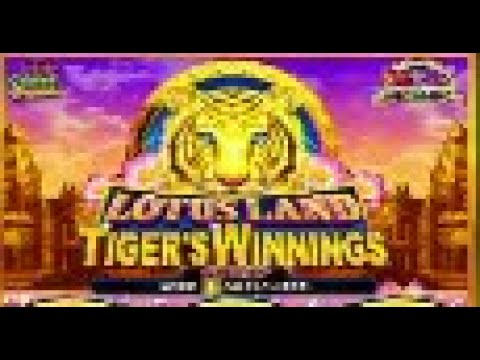 BIGGEST YOUTUBE WIN ON SELEXION LOTUS LAND TIGERS WINNINGS A REAL SLOT MACHINE JACKPOT